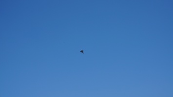 DSC00750.JPG