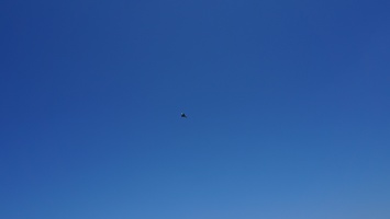 DSC00735.JPG