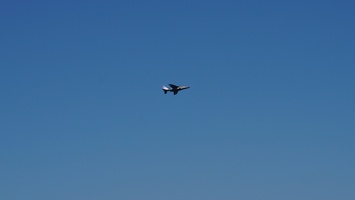 DSC00701.JPG