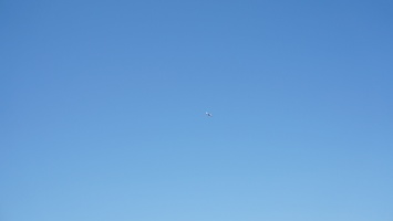 DSC00698.JPG