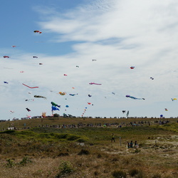 Estivent