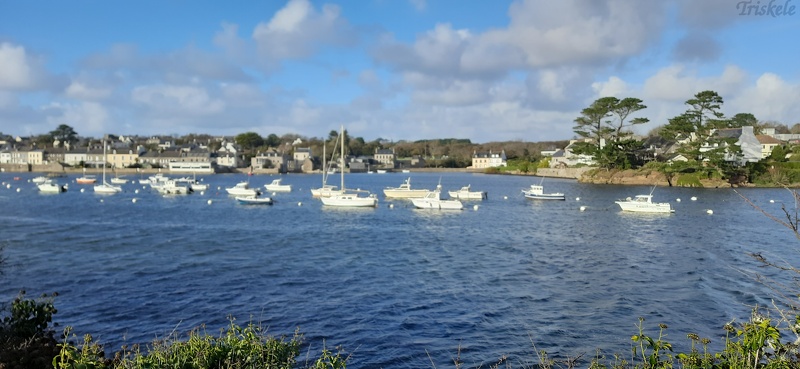 20221122_151338.jpg