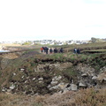 P1172313.JPG