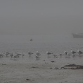 P2160423.JPG
