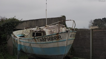 P2210560.JPG