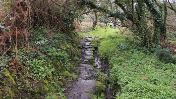 P2210567.JPG