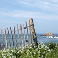 P4041499.JPG