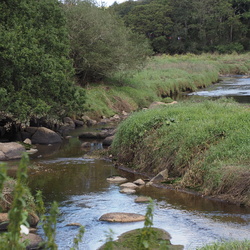 20250729 - 47 - Pont Rheu Porscave