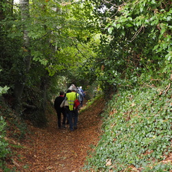 20231017 - 36 - TRIDOUR BOIS DE KEROUAL
