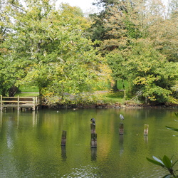 20231017 - 36 - TRIDOUR BOIS DE KEROUAL