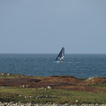 PA301291.JPG