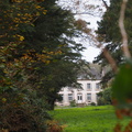 PA311335.JPG