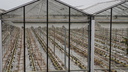 PA311336.JPG