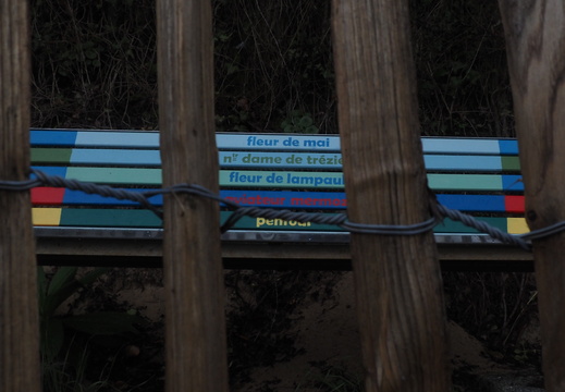20231219 - 25 - PORSPAUL/PORSCAVE