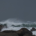 P2102994.JPG