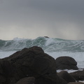 P2103000.JPG
