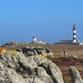 P3150367.JPG