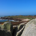 P3150390.JPG