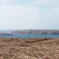 P3150414.JPG