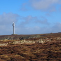 P3150420.JPG