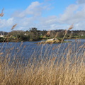 P3230568.JPG