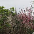 P3230570.JPG