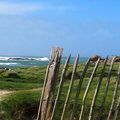 P3280644.JPG