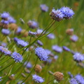 P5141610.JPG