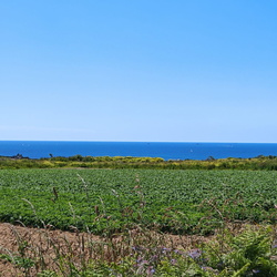 20240611 - 41 - St MATHIEU LE CONQUET