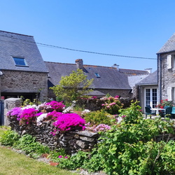 20240611 - 41 - St MATHIEU LE CONQUET