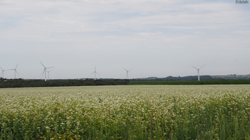P7303576.JPG