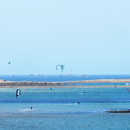 P9174364.JPG