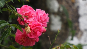 P9244413.JPG