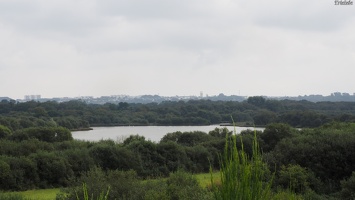 P9244421.JPG