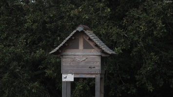 P9244427.JPG