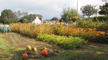 P9244439.JPG