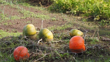 P9244440.JPG
