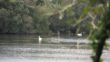 P9244454.JPG