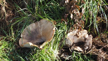 PA015176.JPG