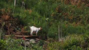 PA015221.JPG