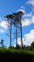 PA015226.JPG
