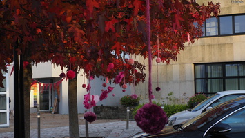 PA134958.JPG