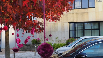 PA134959.JPG