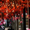 PA134963.JPG
