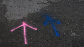 PA134979.JPG