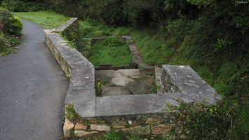 PA134984.JPG