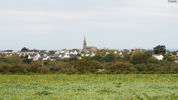 PA134989.JPG