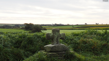 PA134990.JPG