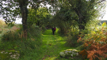 PA134992.JPG