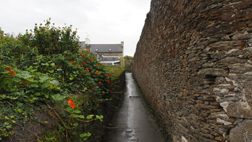 PA155088.JPG